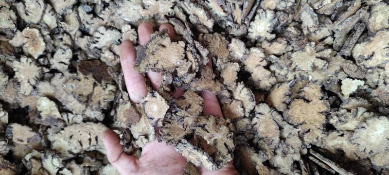 川芎各种中药材批发新货大货批发量大价优