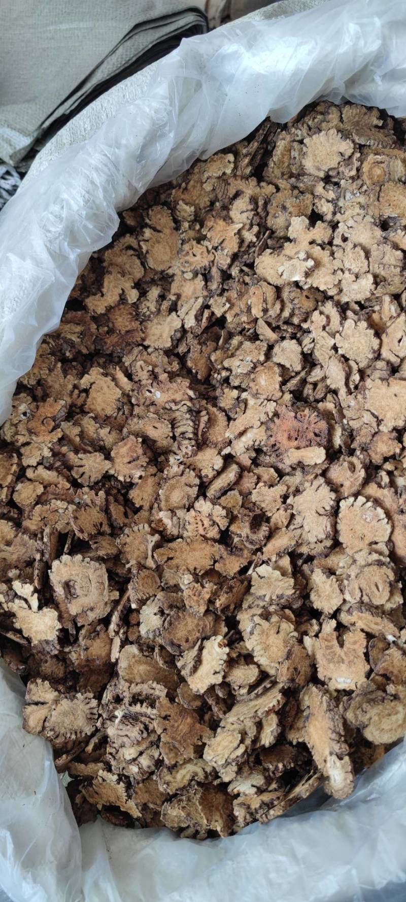 川芎各种中药材批发新货大货批发量大价优