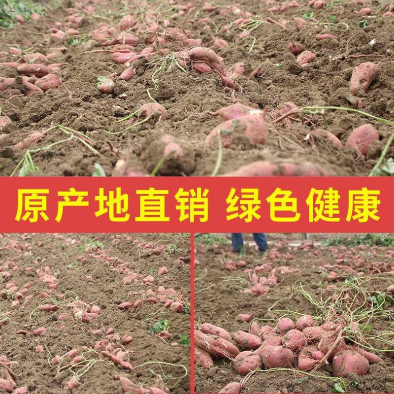 红薯淀粉农家纯手工食用红薯粉地瓜粉红苕粉番薯粉家用山芋粉