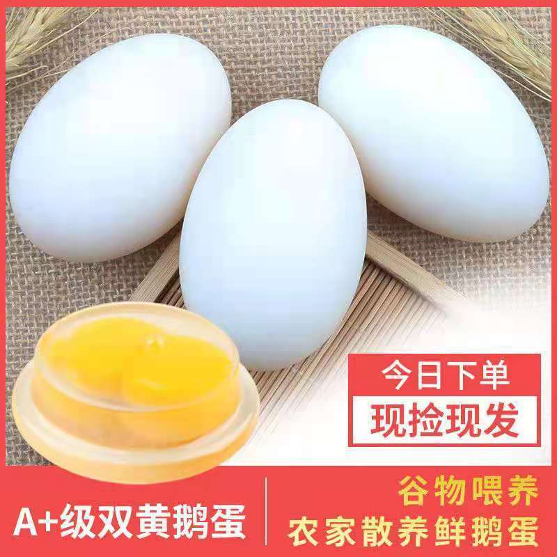 正宗土鹅蛋新鲜农家散养鹅蛋当现新鲜大鹅蛋去孕妇批发