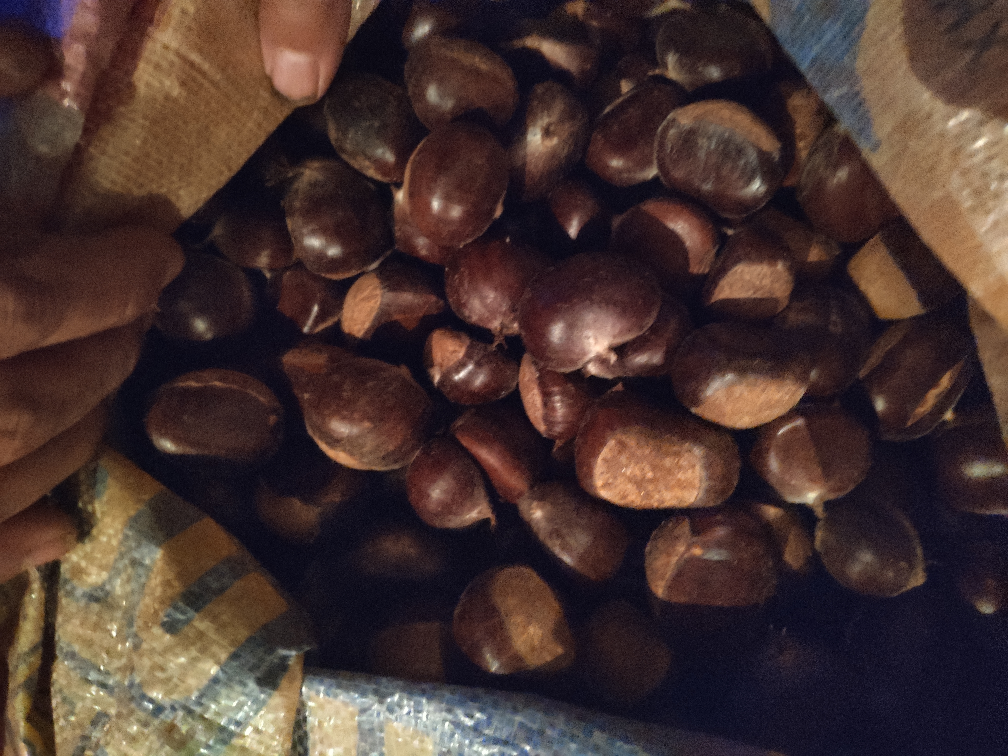 女性在厨房中犹豫是否食用栗子