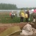 【实力代收】【热卖菠菜】大叶菠菜滨洲惠民万亩基地直供市场