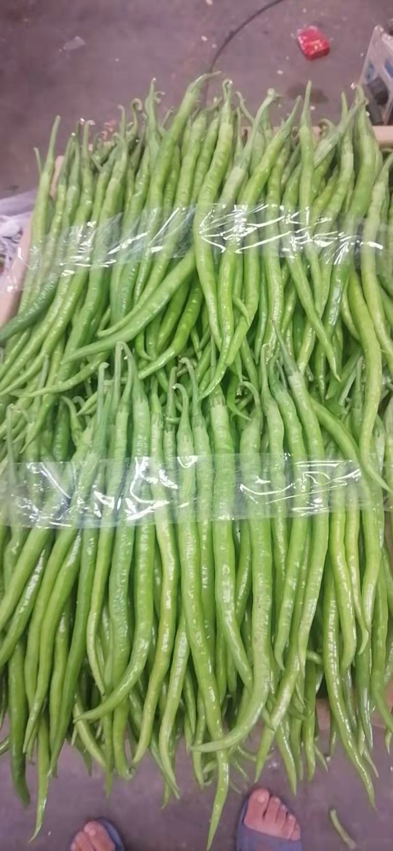 鲜辣椒