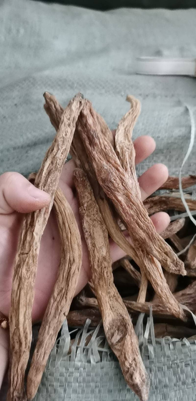 百部(包邮)，3斤起批发，零售量大从优