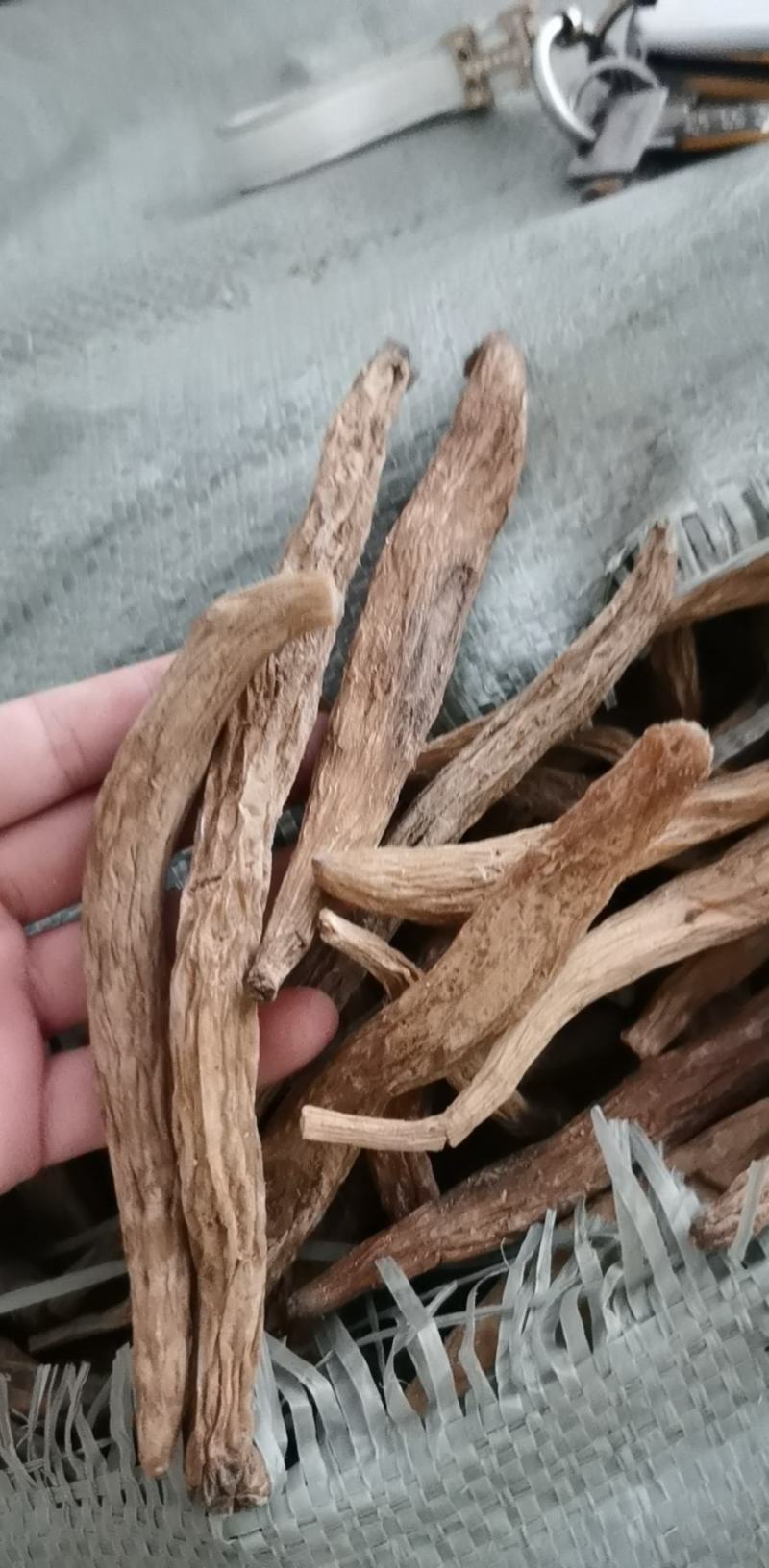 百部(包邮)，3斤起批发，零售量大从优