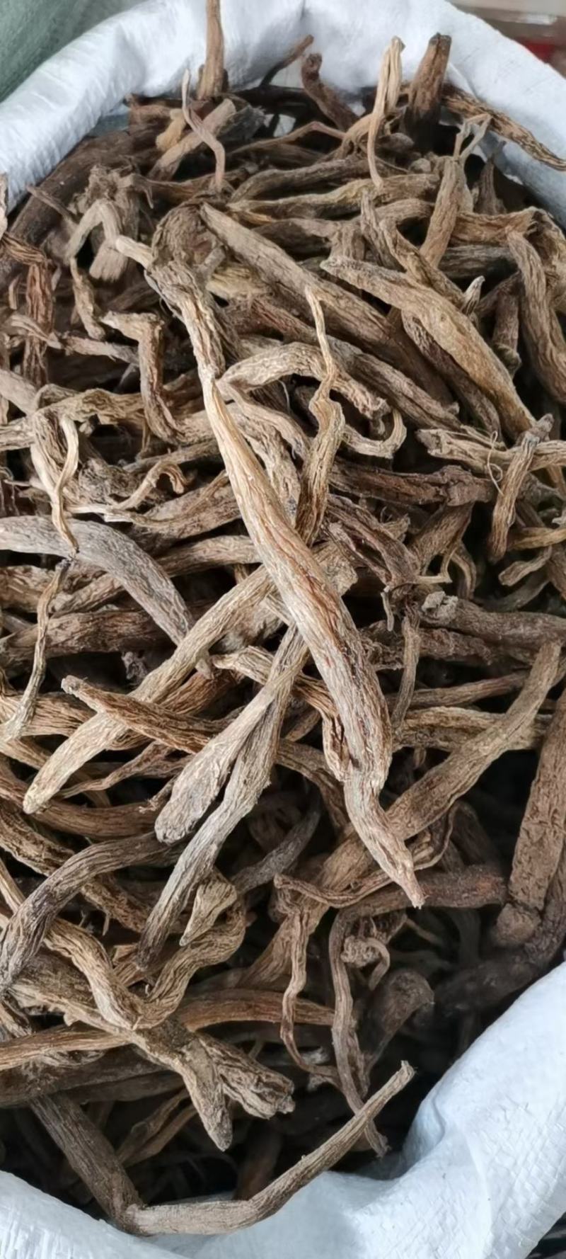 百部(包邮)，3斤起批发，零售量大从优