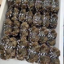 大闸蟹