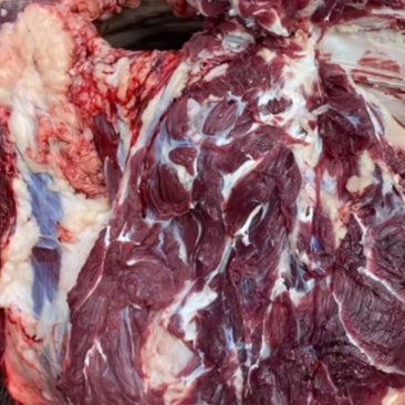 新鲜牛肉