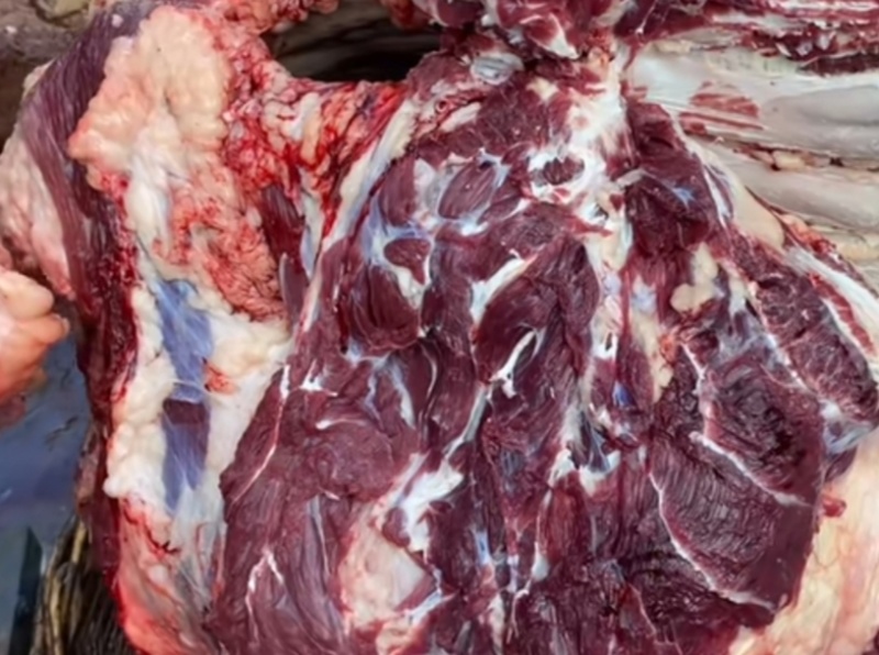 新鲜牛肉