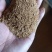 烘干豆渣