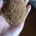 烘干豆渣