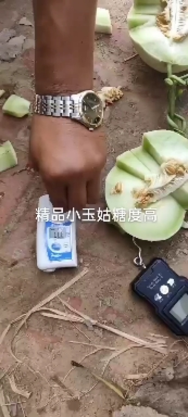 哈密瓜大量上市