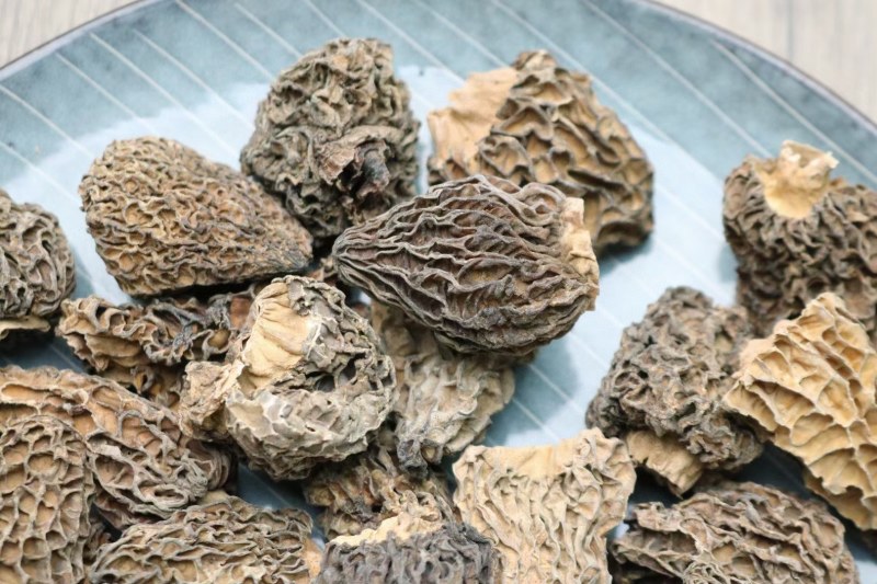 野生羊肚菌5cm足干货厚肉均匀高海拔的野生羊肚菌