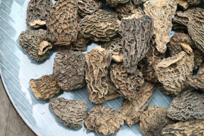 野生羊肚菌5cm足干货厚肉均匀高海拔的野生羊肚菌