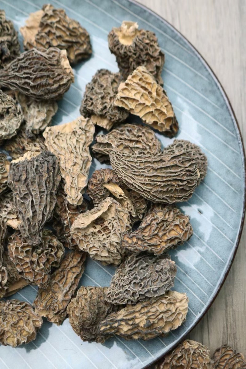 野生羊肚菌5cm足干货厚肉均匀高海拔的野生羊肚菌