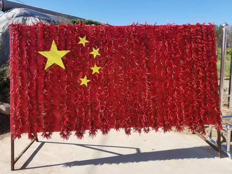 朝天椒辣椒苗，蒜乡红辣椒苗，又尖又辣，签合同包回收
