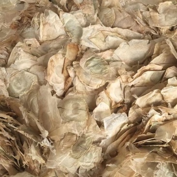 木蝴蝶(包邮)，3斤起批发，零售量大从优，