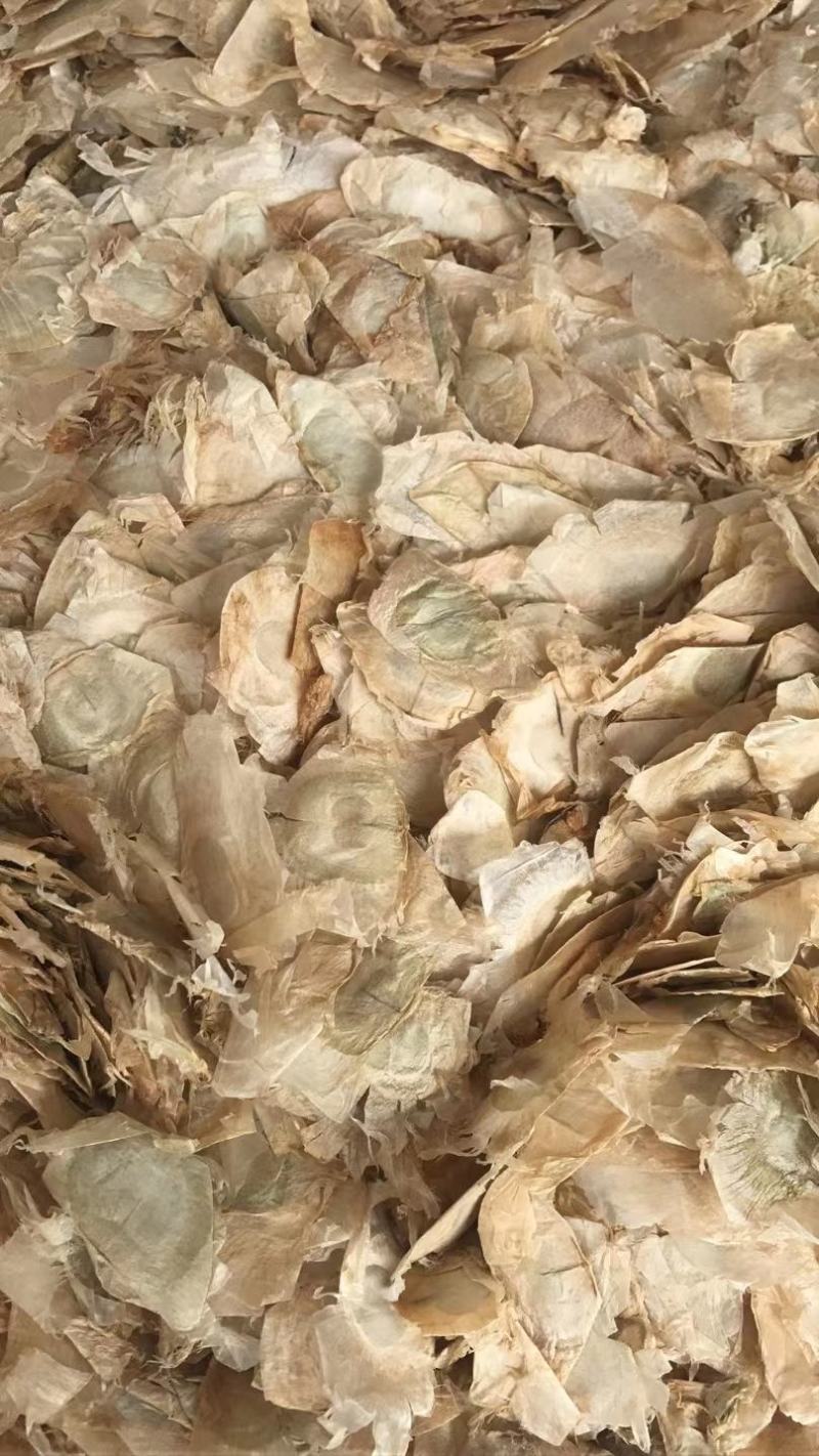 木蝴蝶(包邮)，3斤起批发，零售量大从优，