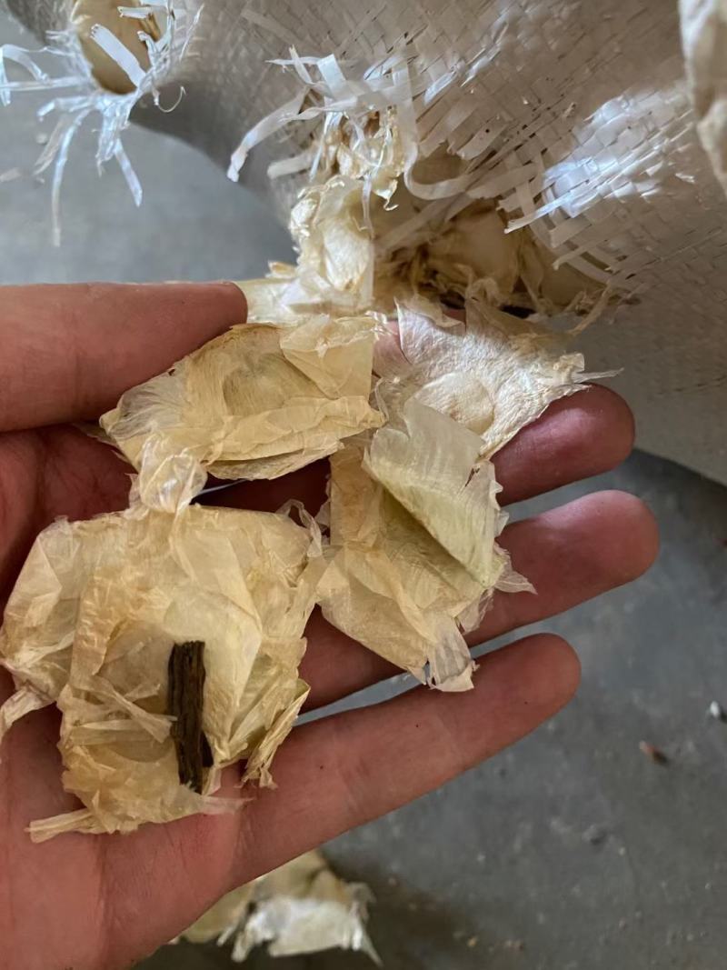 木蝴蝶(包邮)，3斤起批发，零售量大从优，