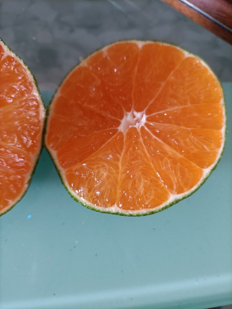 丹江囗蜜桔，皮薄汁多，酸甜可口！大量上市！欢迎各客商前来