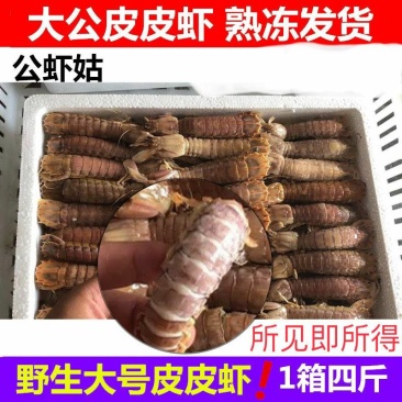 熟冻大公肥皮皮虾,赖尿虾,虾爬子,虾姑壳薄肉多,好吃鲜美