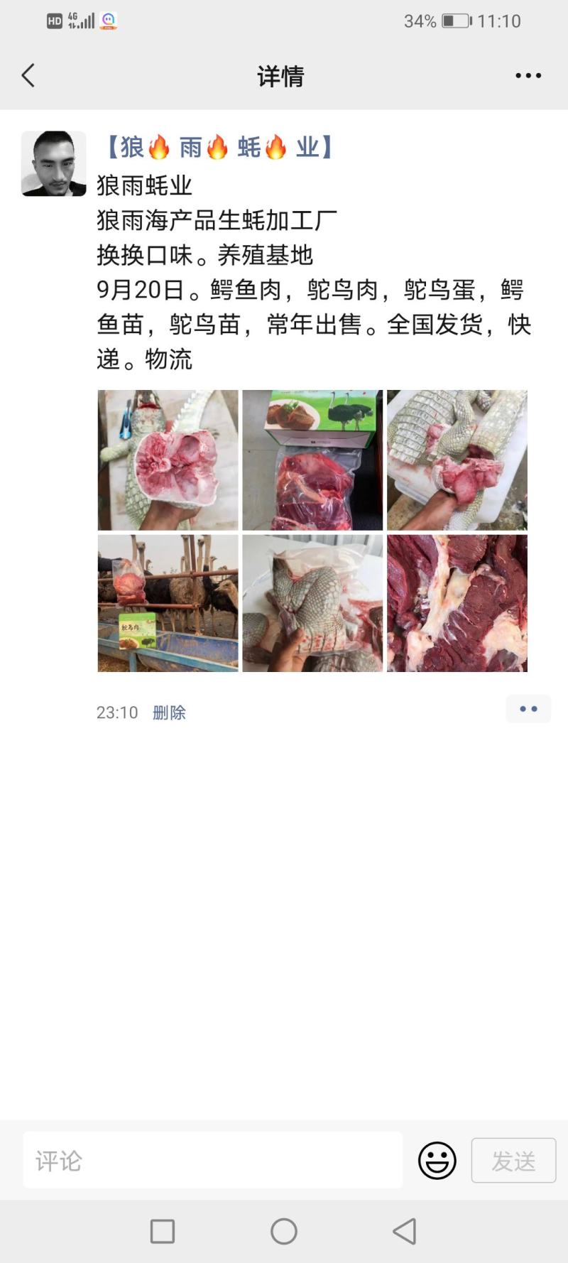 鳄鱼