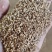 柏子仁统货1000g.起批关书药业批发中药材