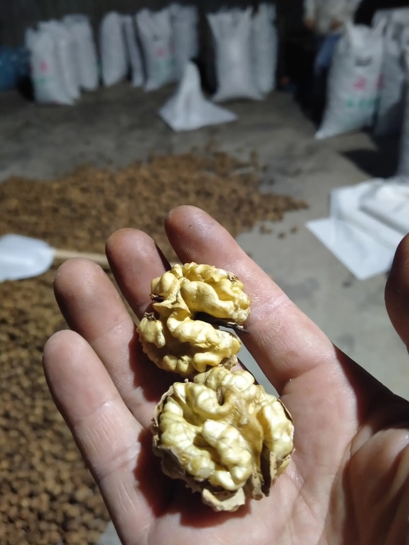 2024年云南新核桃大麻子薄皮泡核桃量大价优