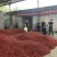 辣椒王干辣椒