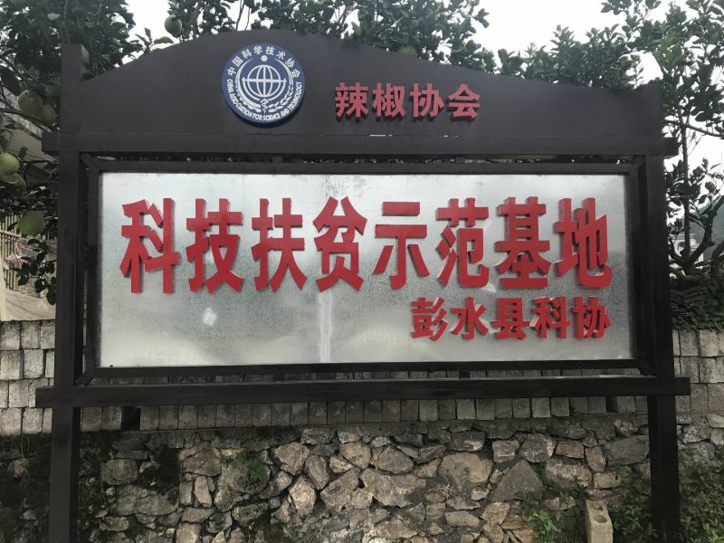 辣椒王干辣椒