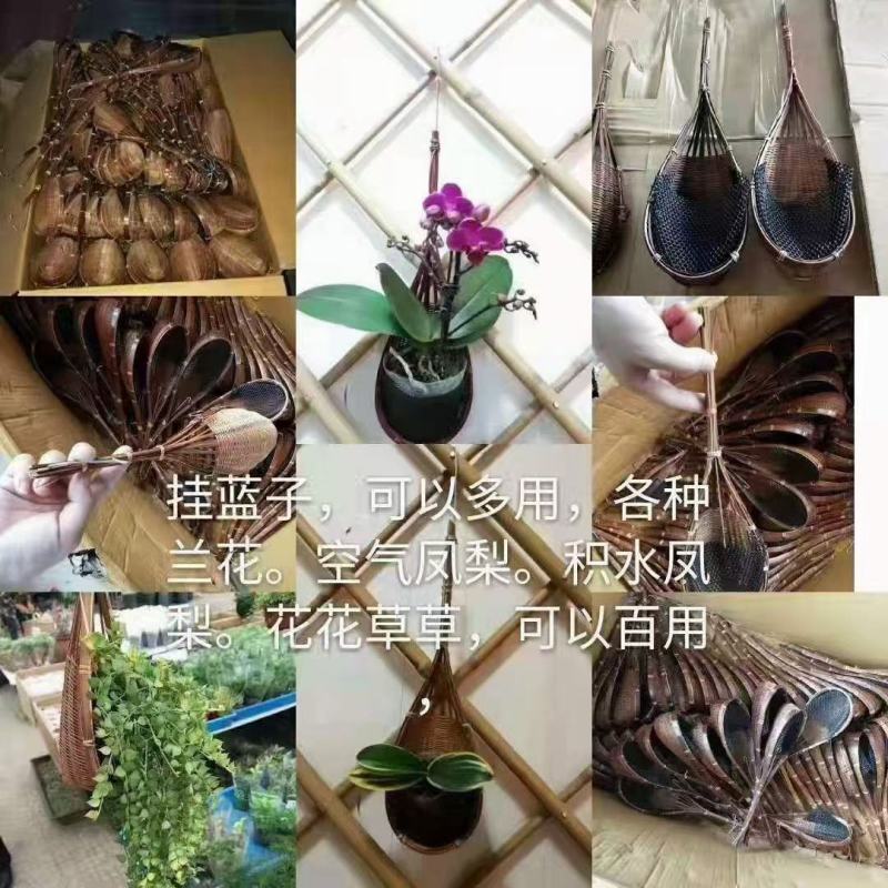 百搭小挂篮挂篮盆栽绿植挂篮四色可选可混搭实物实拍图
