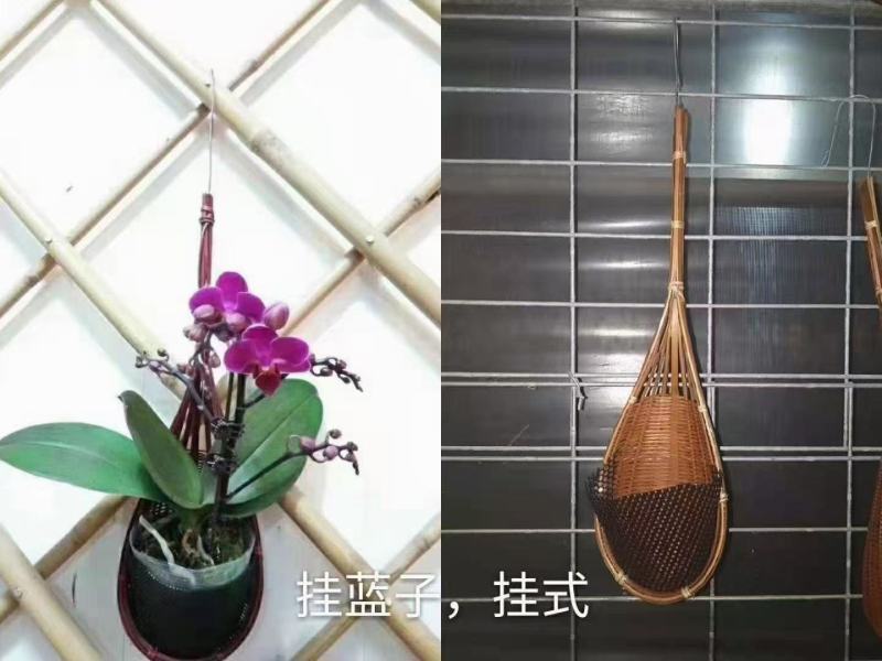 百搭小挂篮挂篮盆栽绿植挂篮四色可选可混搭实物实拍图