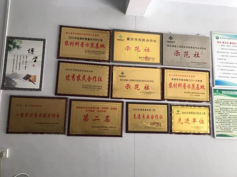 辣椒干辣椒辣椒王