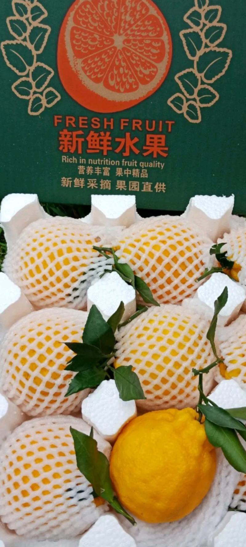 【真实报价】丑桔，不知火柑橘，可视频看货，看园采园