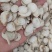 白芍新货各种中药材批发新货大货批发
