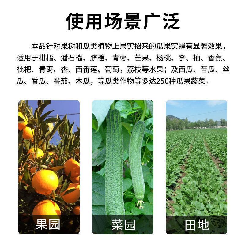 瓜果实蝇诱粘剂果蝇诱捕器神器菜园果园果树杀虫剂灭针蜂药引