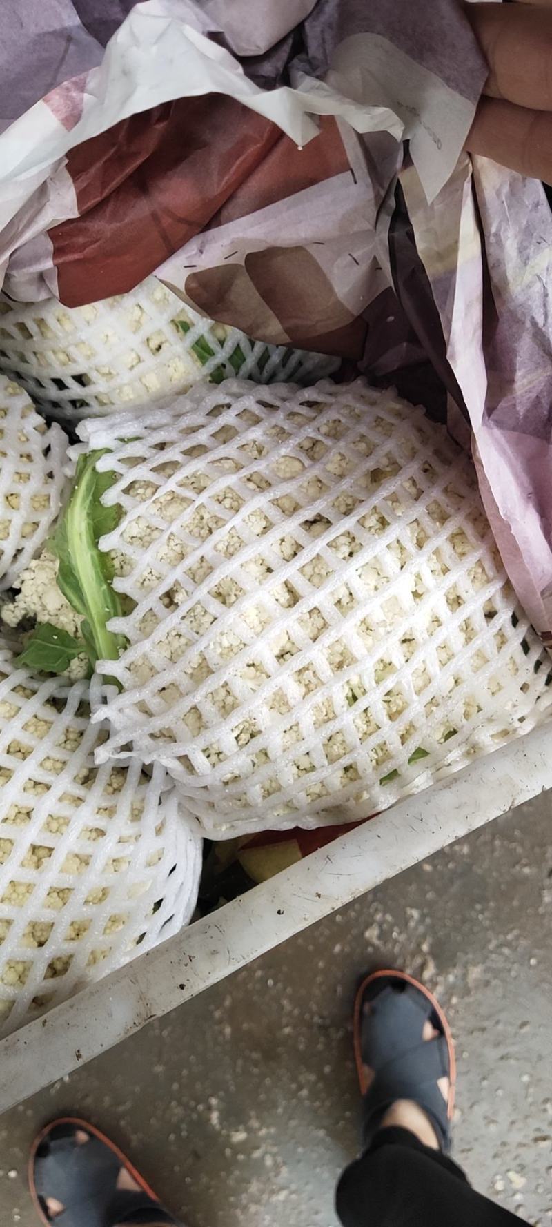 精品有机花花菜产地一手货源代发全国欢迎市场商超来电合作