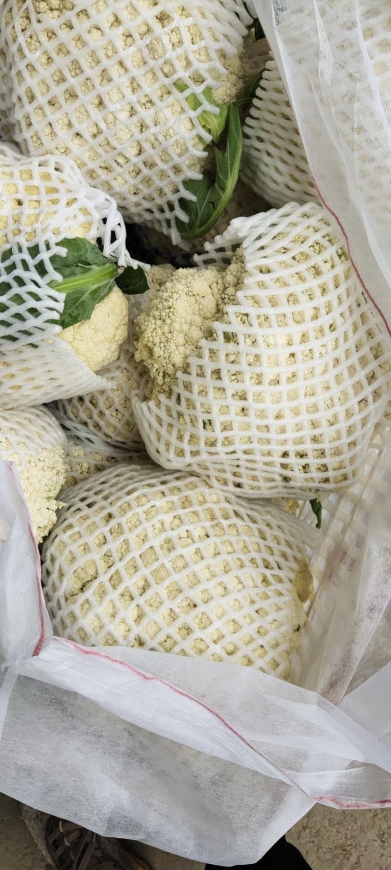 精品有机花花菜产地一手货源代发全国欢迎市场商超来电合作