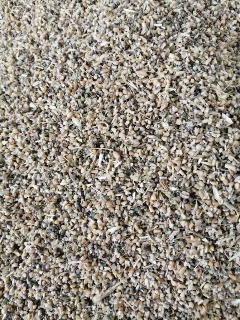 过筛草籽麦，碎麦子，碎玉米，麦毛，麦土，麦糠，
