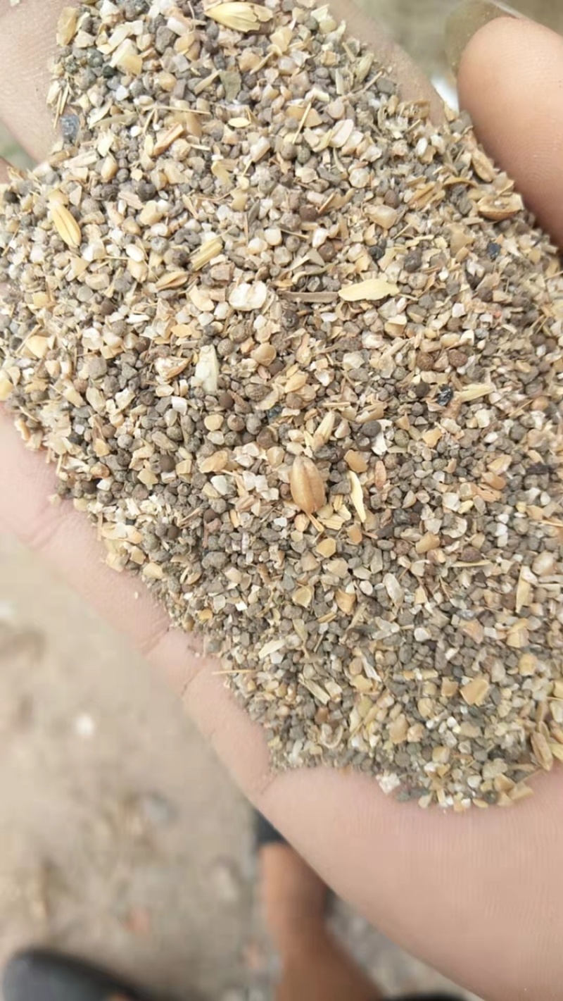 过筛草籽麦，碎麦子，碎玉米，麦毛，麦土，麦糠，