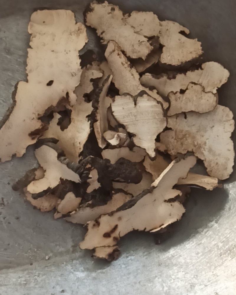 猪苓中药材批发猪苓质量保证量大从优