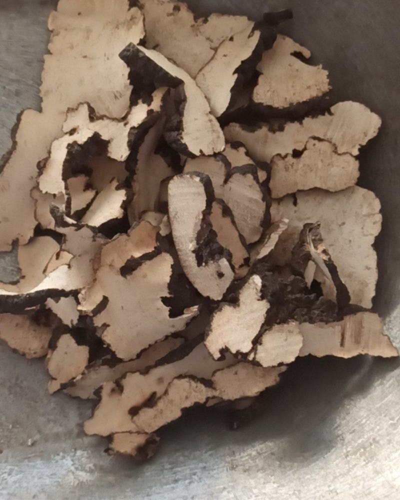 猪苓中药材批发猪苓质量保证量大从优