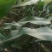 土地流转5000地在山东东营