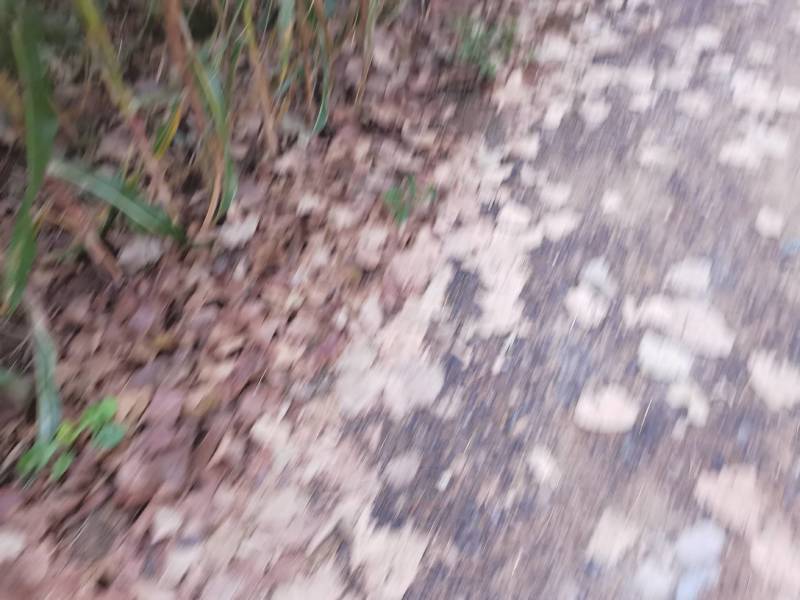 土地流转5000地在山东东营