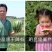 金美都西瓜种子，改良8424更抗裂，肉脆多汁酥甜爽口