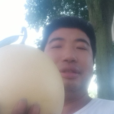 三红柚！三红柚！皮薄肉厚汁多甜度高！过节走亲访友佳品！！
