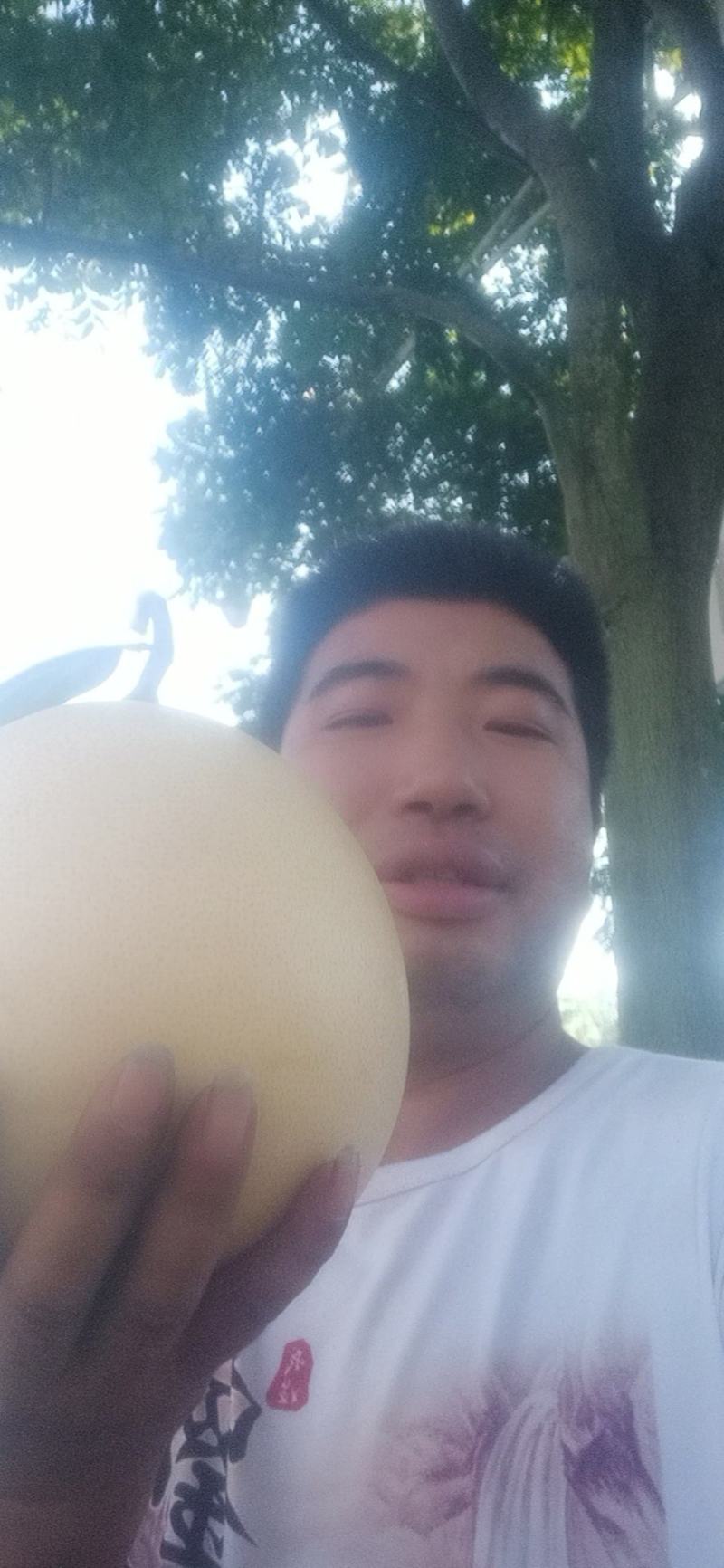 三红柚！三红柚！皮薄肉厚汁多甜度高！过节走亲访友佳品！！