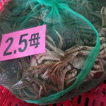 湖北洪湖清水大闸蟹肉质鲜嫩螃蟹可混装发货量大价优