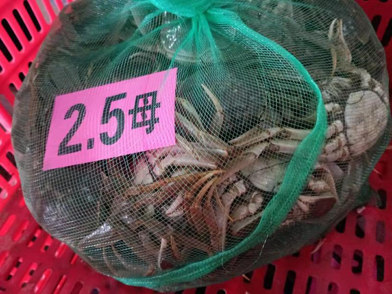 湖北洪湖清水大闸蟹肉质鲜嫩螃蟹可混装发货量大价优
