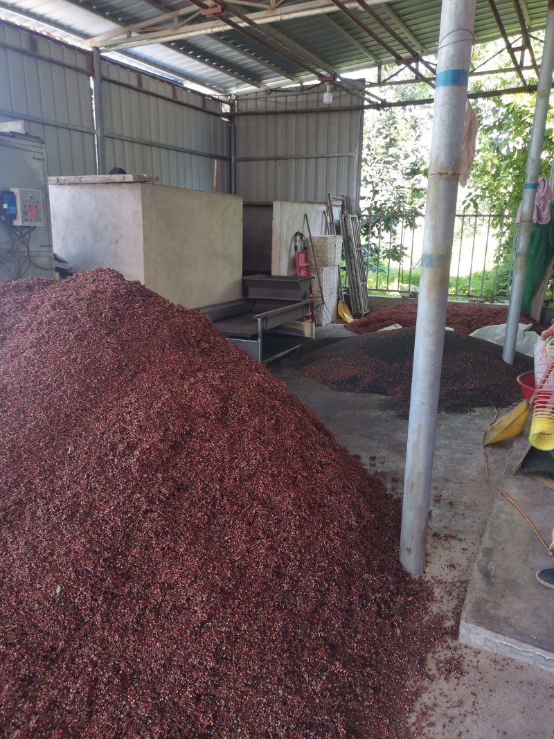 花椒陕西大红袍韩城花椒高海拔优质产地，麻香鲜红花椒！！！